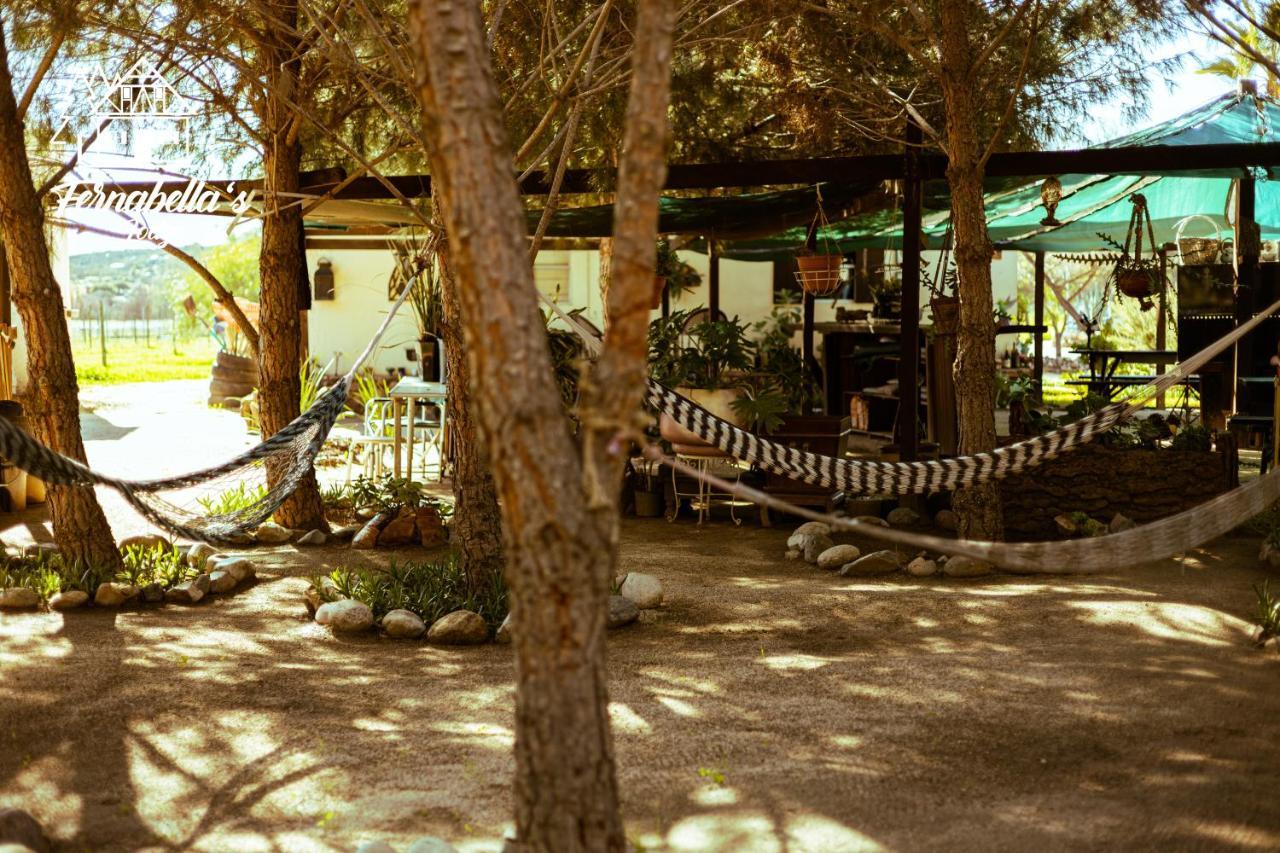 Fernabella'S Lodge Valle de Guadalupe Exteriör bild