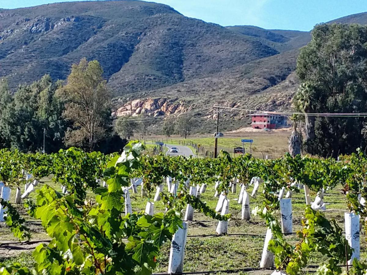 Fernabella'S Lodge Valle de Guadalupe Exteriör bild